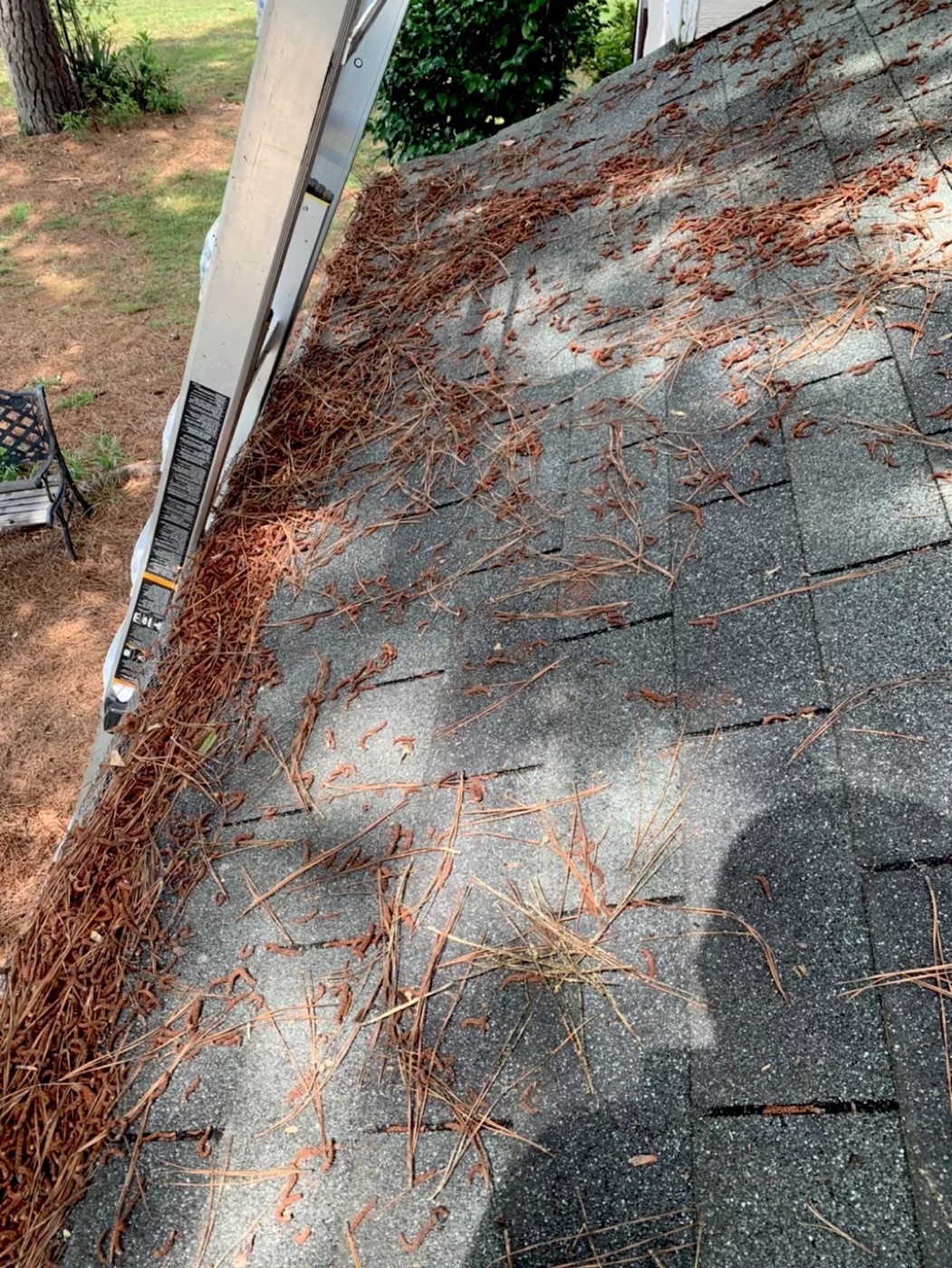 Roof edge with debris before gutter cleaning