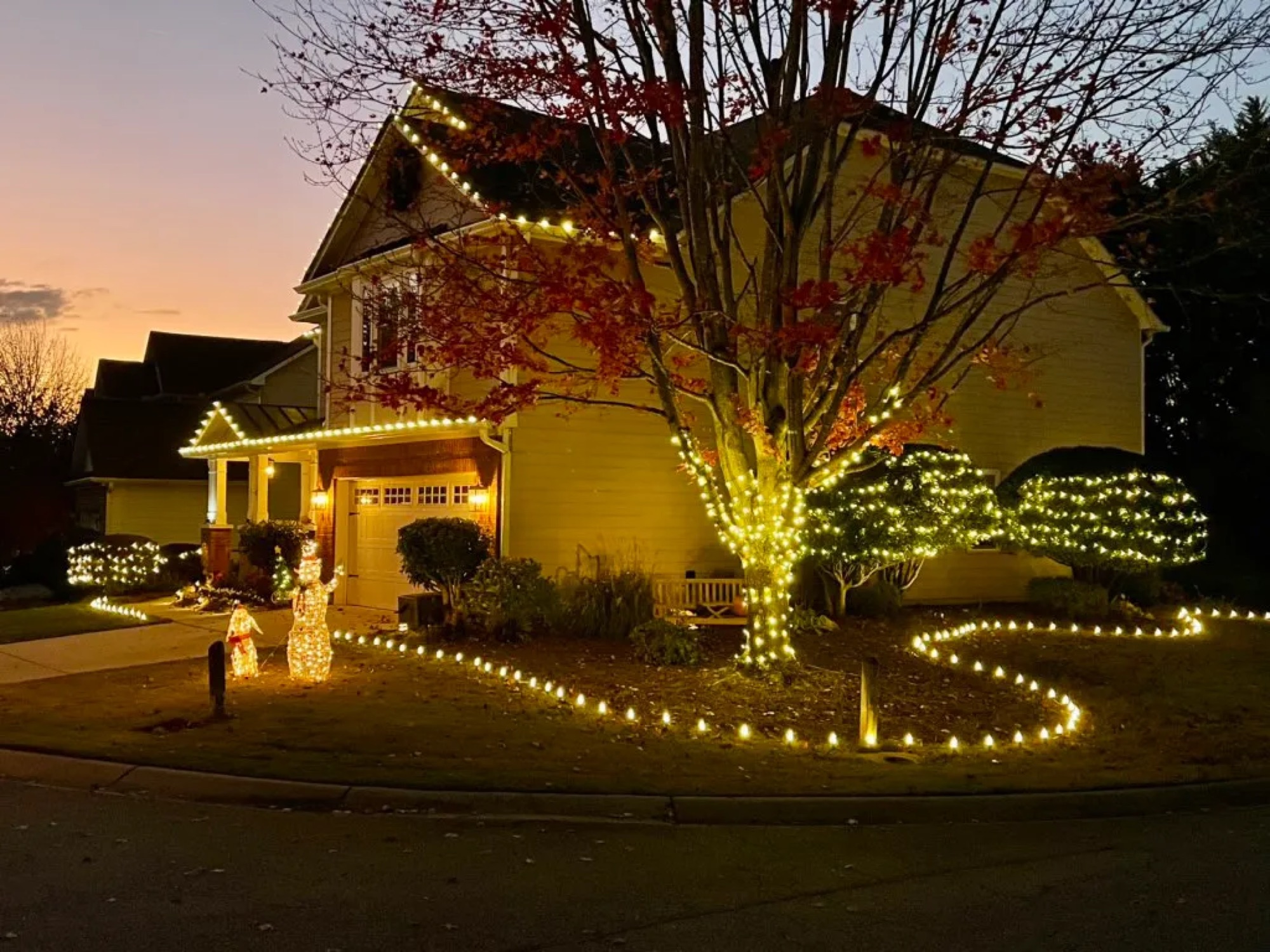 Christmas lights wrapped around a tree, lit shrubs, and a glowing pathway border at sunset